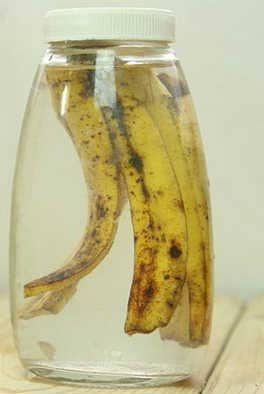 Как подкормить цветы банановой кожурой
