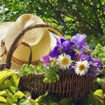 Лунный посевной календарь на июль 2017 года садовода и огородника