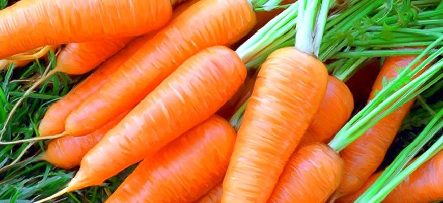 Как посадить морковь чтобы не прореживать? Видео