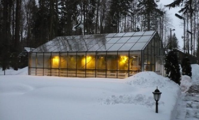 Как построить теплицу для зимнего выращивания