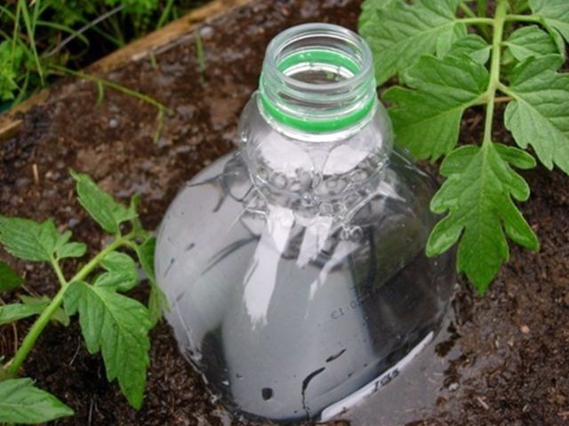 Как сделать капельный полив из пластиковых бутылок