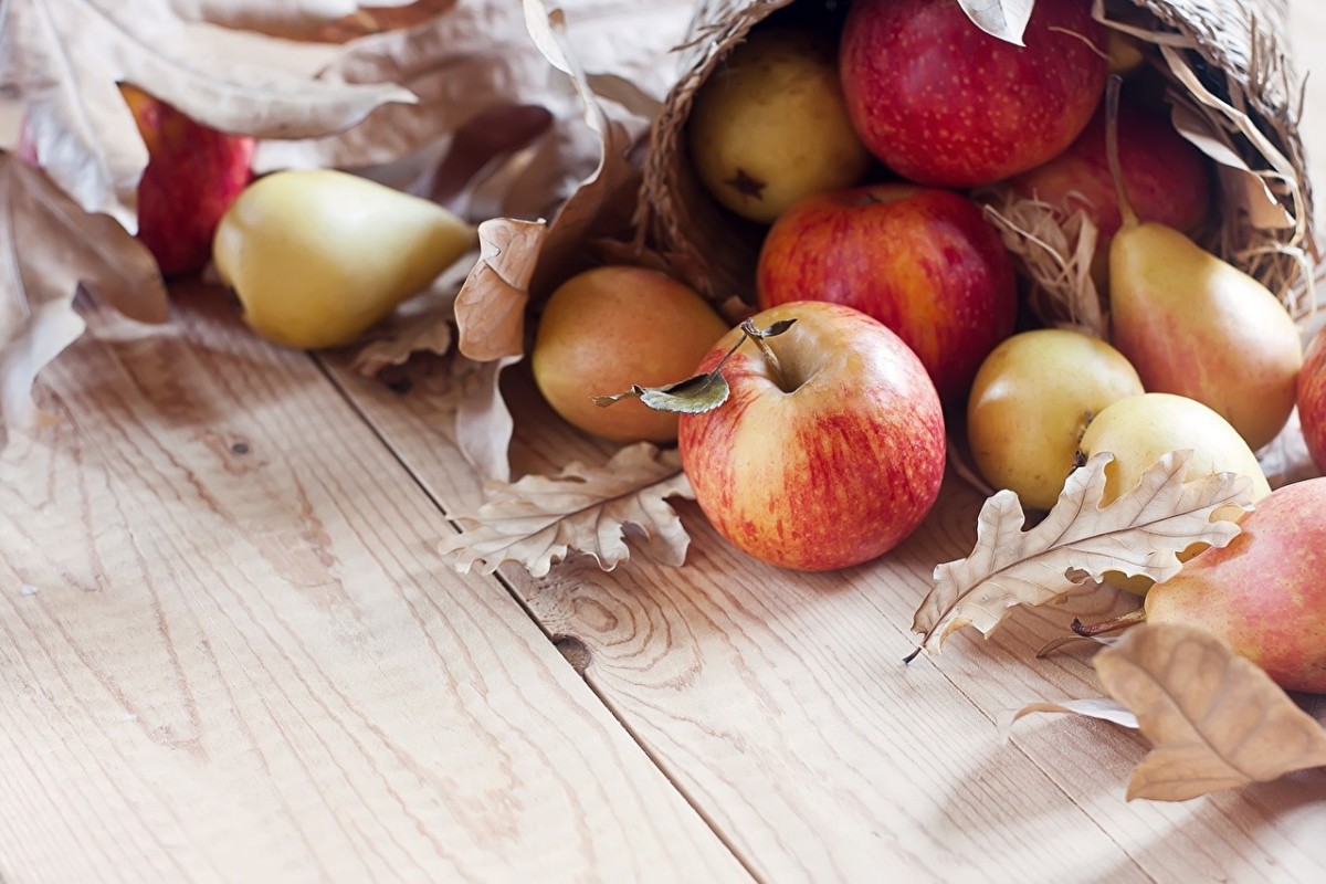 Чем подкормить яблони и груши осенью