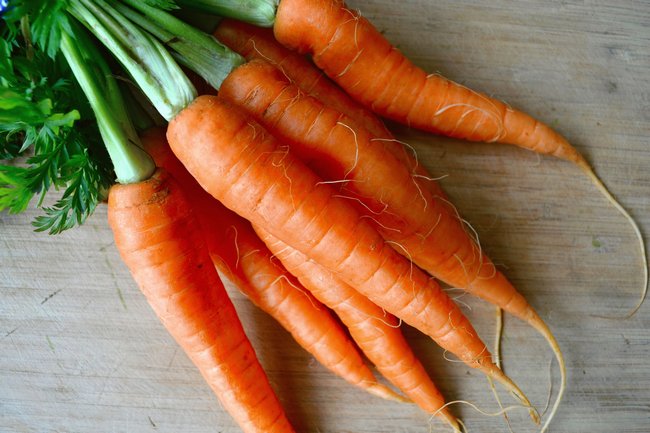 Сорта моркови устойчивые к морковной мухе