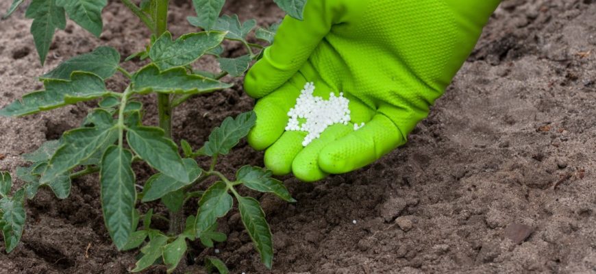 Селитра кальциевая удобрение применение на огороде