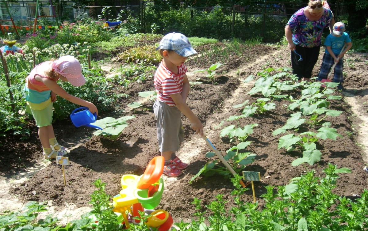 Огород для детей