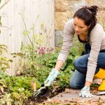Как бороться с сорняками на огороде: лучшие методы и средства