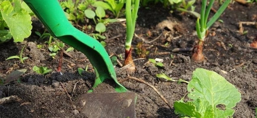 Как бороться с сорняками на огороде: лучшие методы и средства