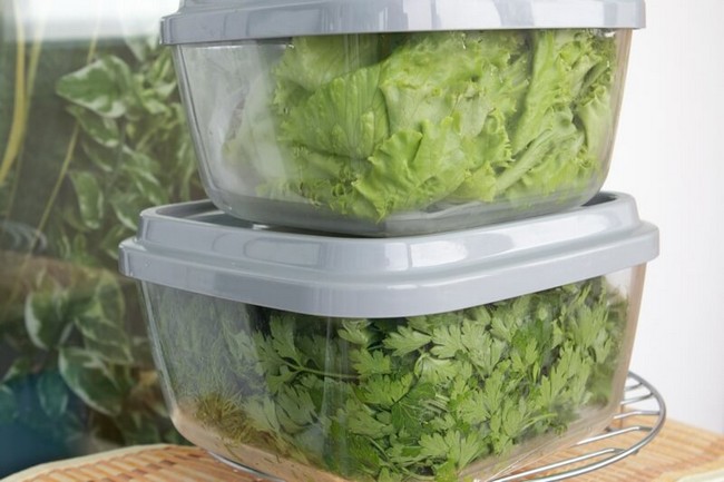 Как хранить зелень в холодильнике долго свежим