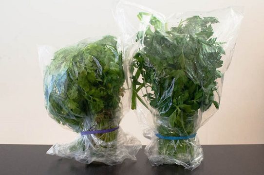 Как дольше сохранить зелень свежей в холодильнике?